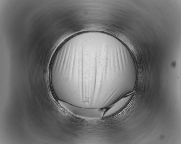 X0000099430996200805301425