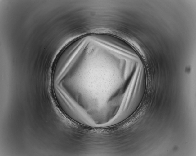 X0000099431000200805301425