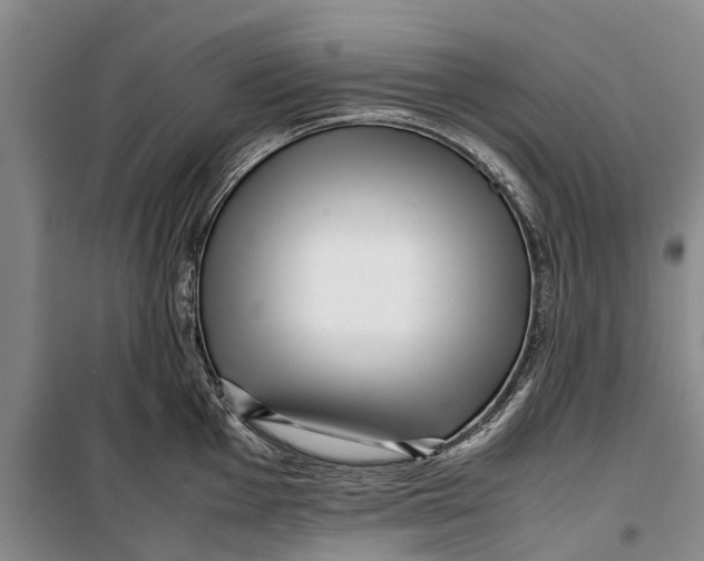 X0000099431001200805301425