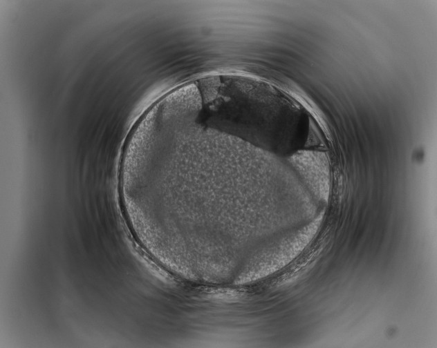 X0000099431002200805301425