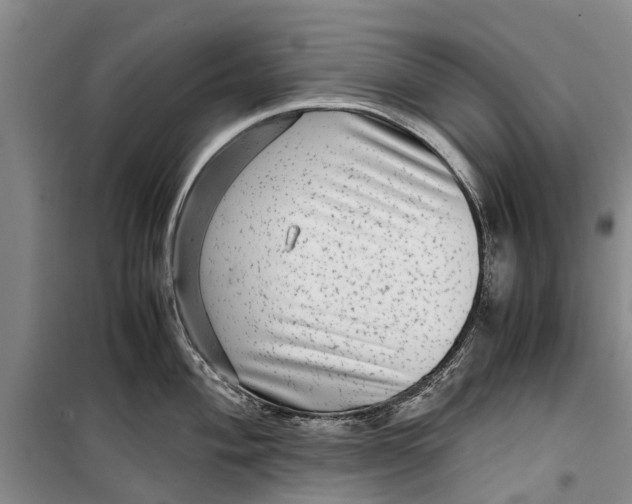 X0000099431004200805301425