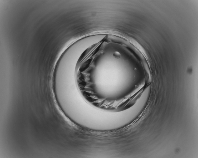 X0000099431005200805301425