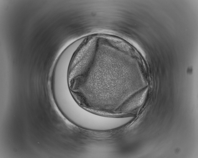 X0000099431007200805301425