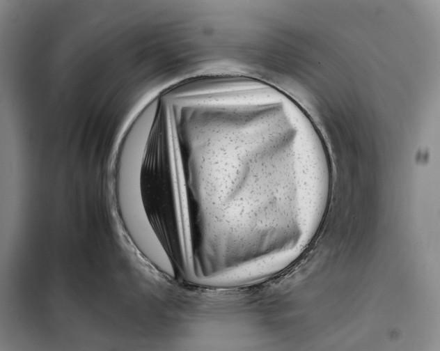 X0000099431008200805301425