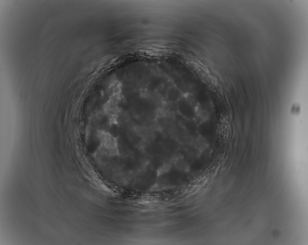 X0000099431009200805301424