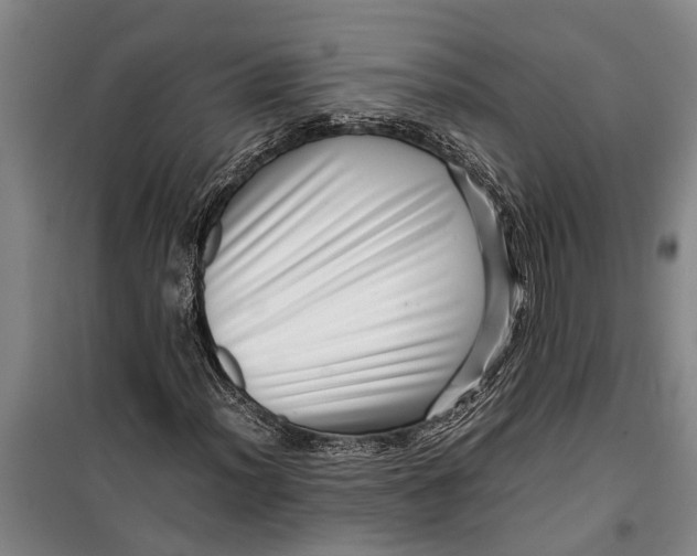 X0000099431012200805301424