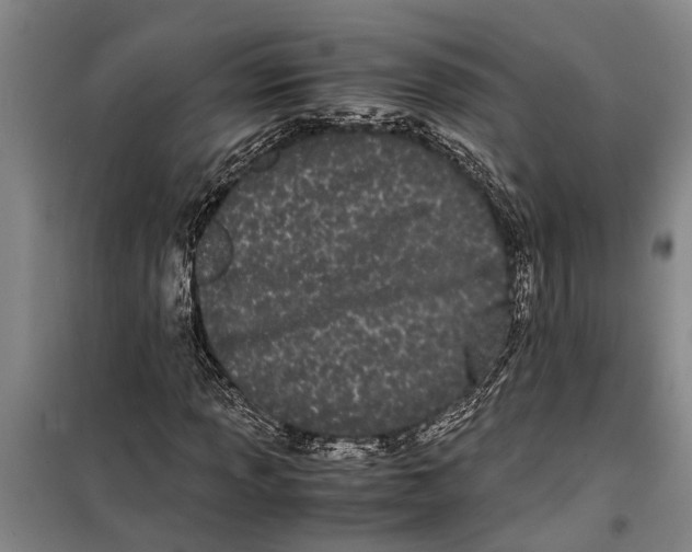 X0000099431013200805301424