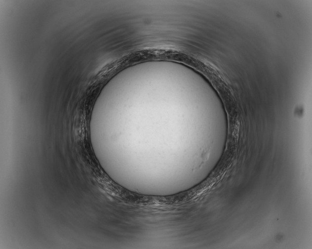 X0000099431014200805301424