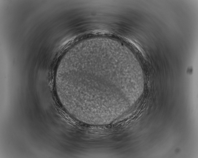 X0000099431015200805301424