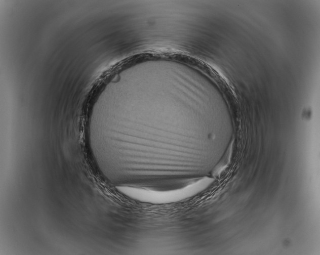 X0000099431016200805301424