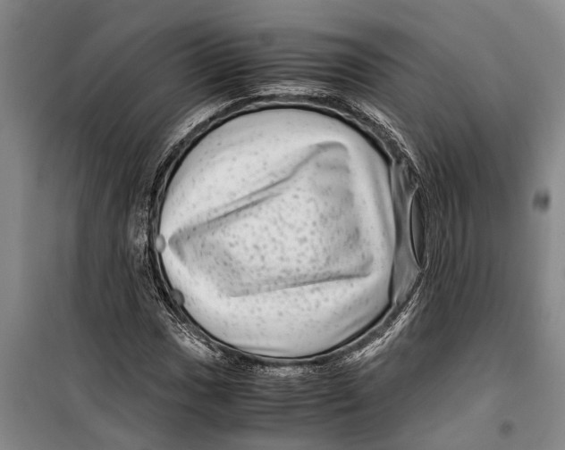 X0000099431017200805301424