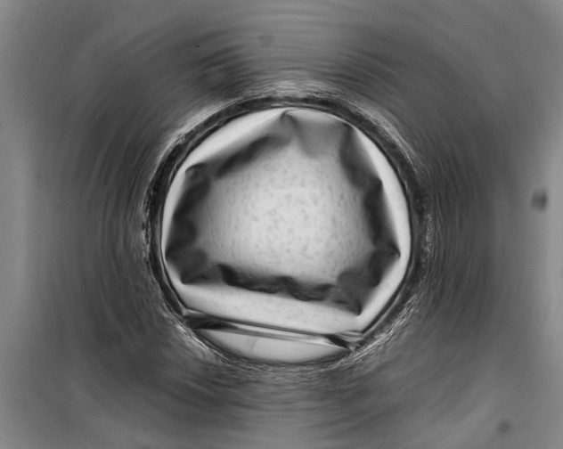 X0000099431018200805301424