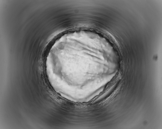 X0000099431019200805301424