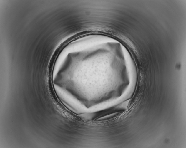 X0000099431020200805301424