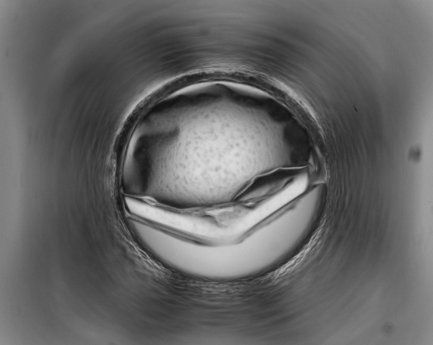 X0000099431021200805301424