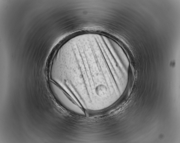 X0000099431022200805301424