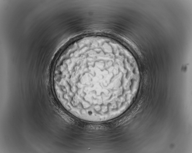 X0000099431023200805301424