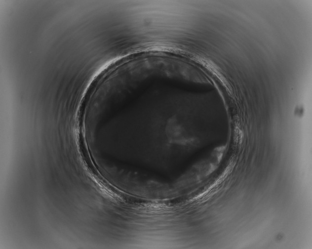 X0000099431024200805301424