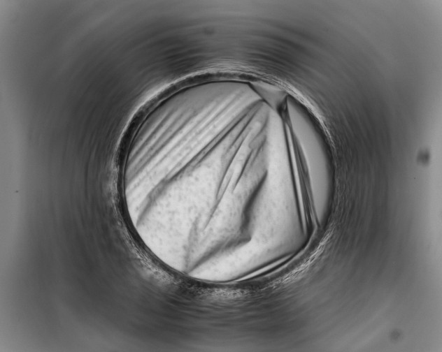 X0000099431029200805301424