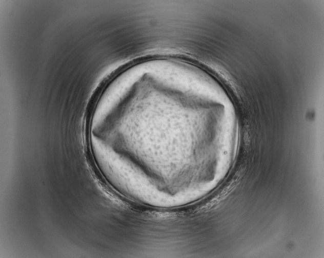 X0000099431030200805301424