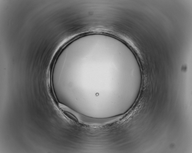 X0000099431032200805301424