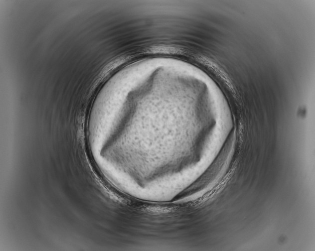 X0000099431033200805301424