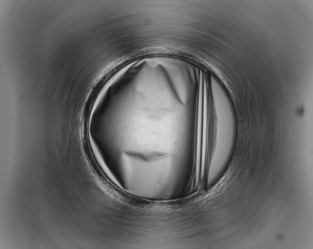 X0000099431034200805301424