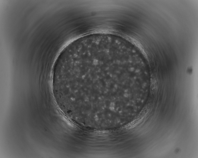 X0000099431035200805301424