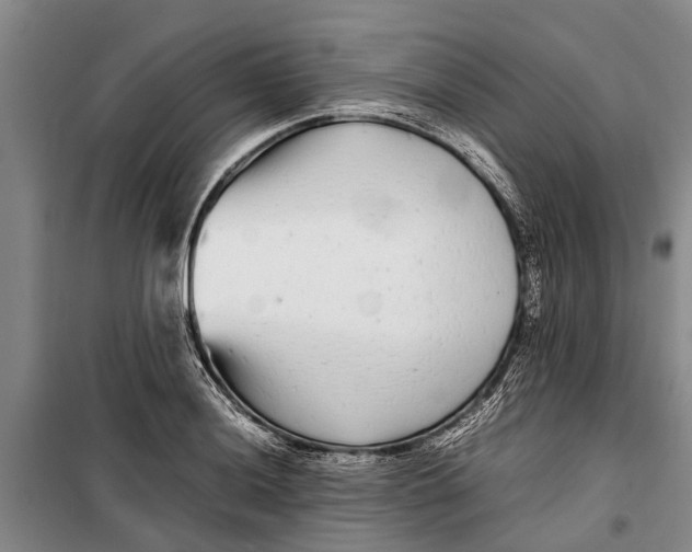 X0000099431036200805301424