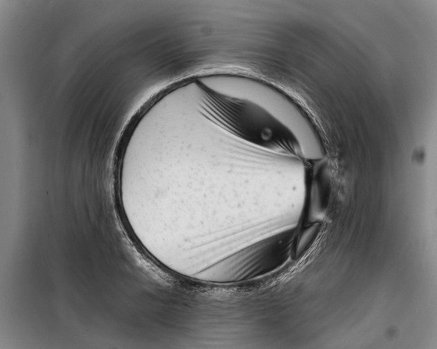 X0000099431038200805301424