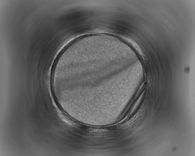 X0000099431039200805301424