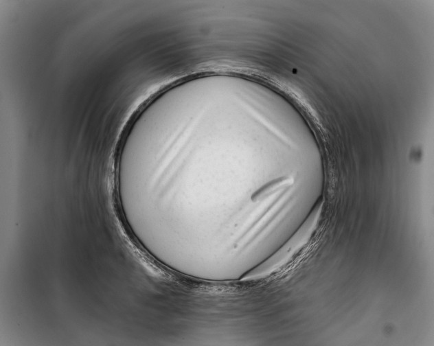 X0000099431040200805301424