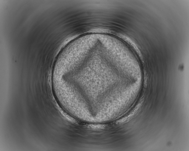 X0000099431041200805301424