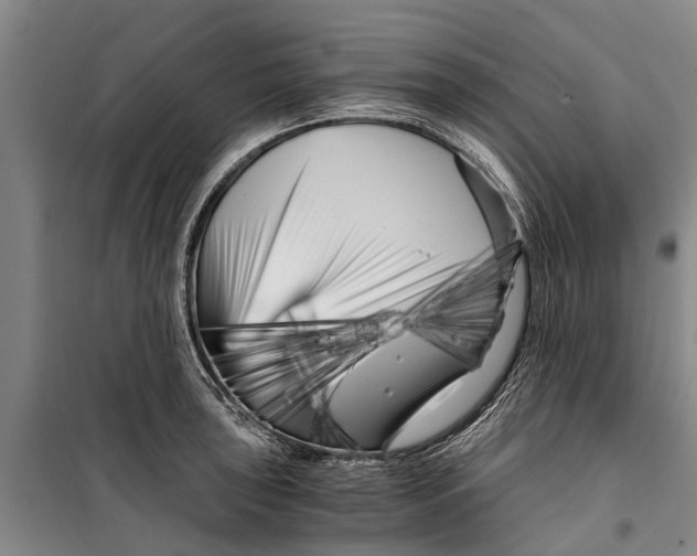 X0000099431043200805301424