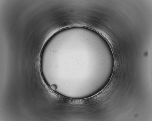 X0000099431047200805301425