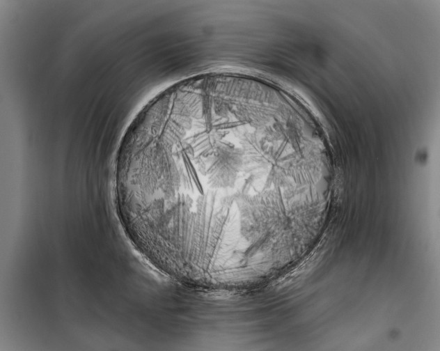 X0000099431048200805301425