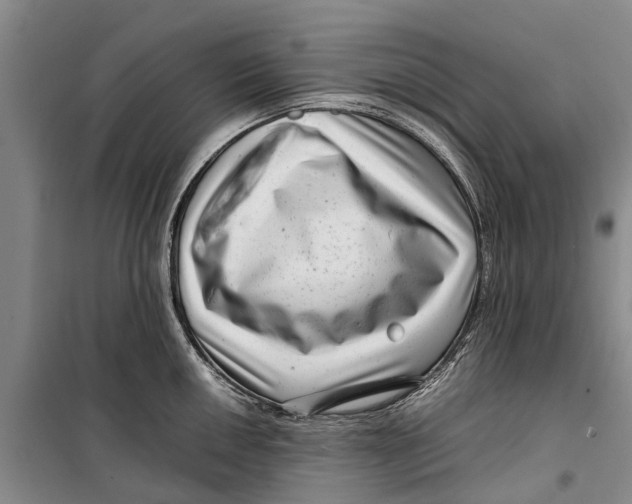 X0000099431050200805301425