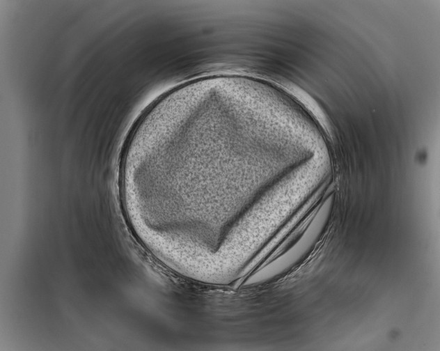 X0000099431051200805301425