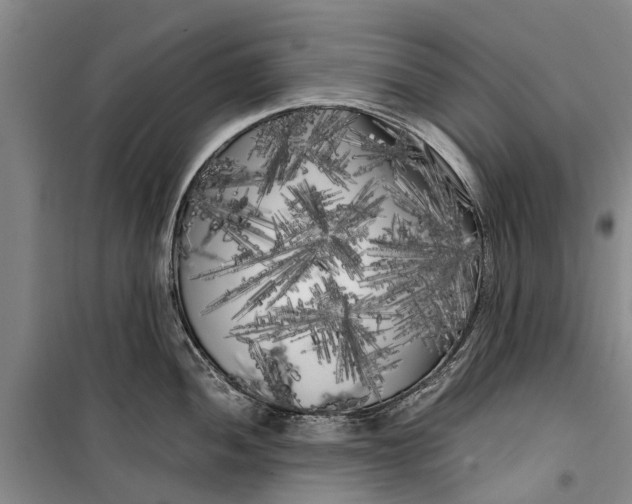 X0000099431052200805301425