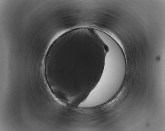 X0000099431053200805301425