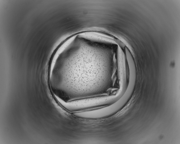 X0000099431054200805301425