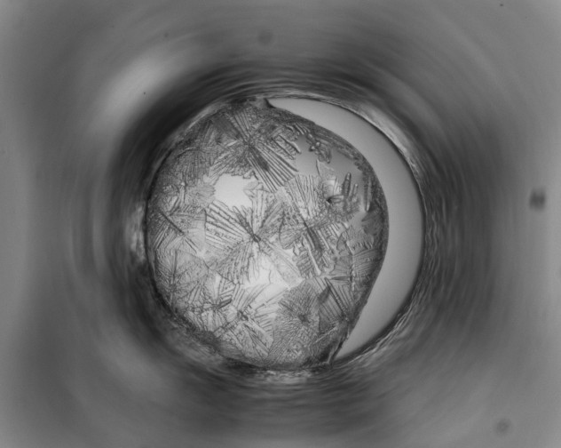 X0000099431055200805301425