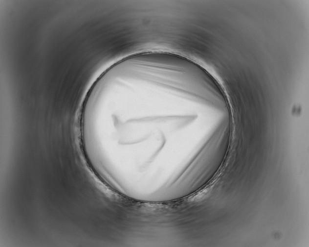 X0000099431056200805301425