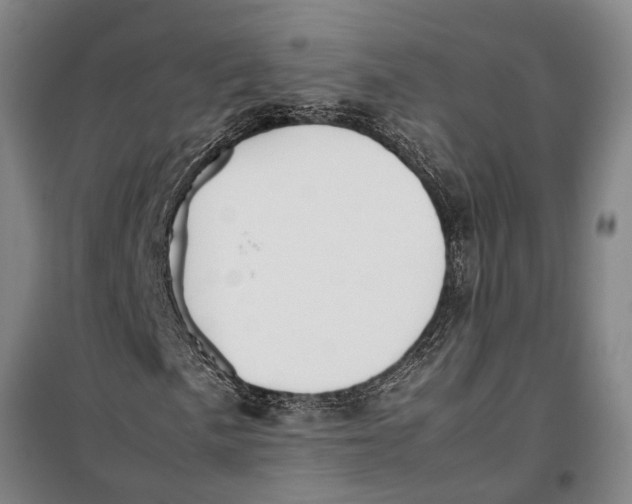 X0000099431057200805301424