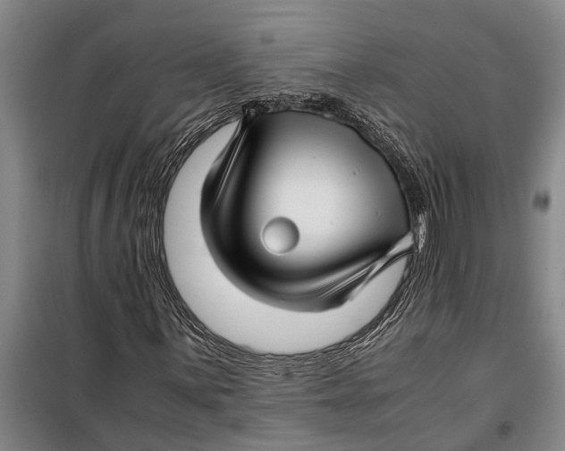 X0000099431059200805301424