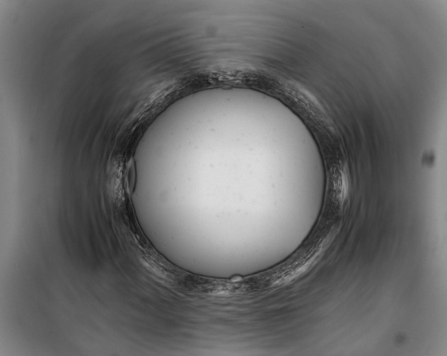 X0000099431060200805301424