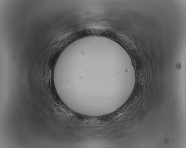 X0000099431061200805301424