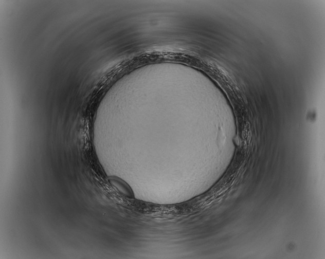 X0000099431062200805301424