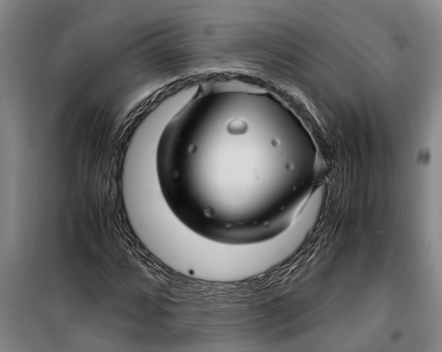 X0000099431064200805301424