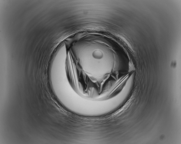 X0000099431065200805301424